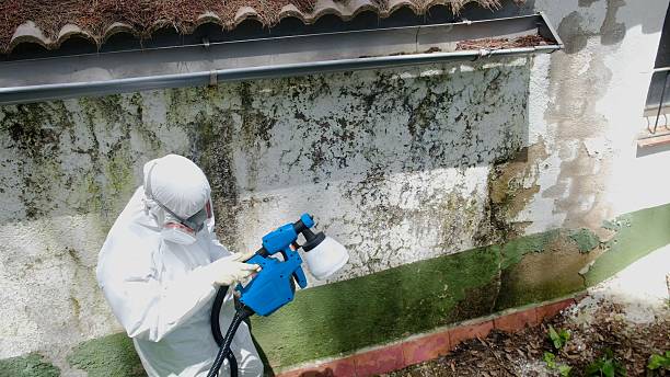 Trusted Commercial Mold Remediation service in Louisville, KY - Cheap Mold Removal